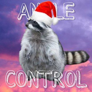 anklecontrol icon