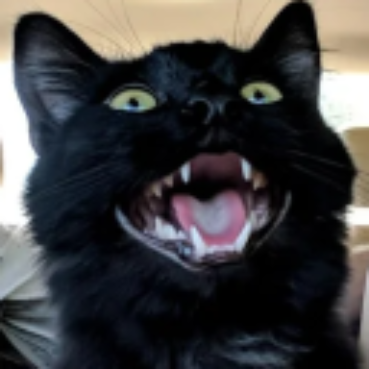 Kitten Krew icon